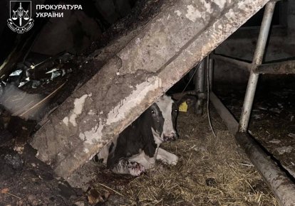 Наслідк удару по фермі на Харківщині