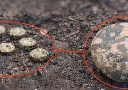 У Херсоні зафіксували використання мін "Пряник"