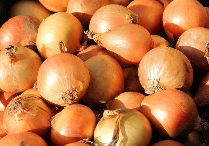 Лук