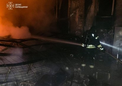Пожар в Киевской области
