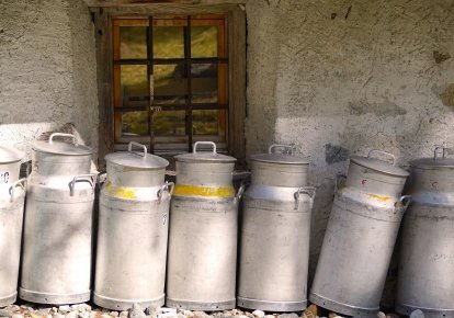 Молочні продукти в Україні можуть здорожчати