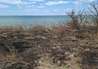 Цивільне судно  під прапором ГвінеЇ-Бісау зазнало російського удару
