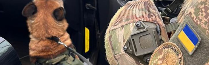 На блокпосту в Харькове остановили иностранца с 7 автоматами Калашникова и гранатами (ФОТО)