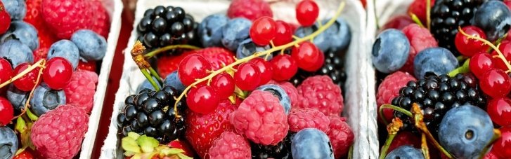 Допомагають упоратися з віковими проблемами: дієтологи назвали 5 продуктів, які слід їсти жінкам після 50 років