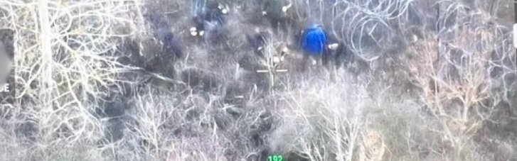Угорця-провідника разом з ухилянтами затримали прикордонники (ВІДЕО)