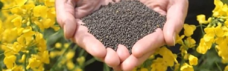 Украина может потерять прогресс вступления в ЕС из-за проблемных пошлин на сою и рапс, — СМИ