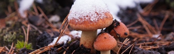 Синоптики спрогнозировали, сколько еще продлится похолодание в Украине