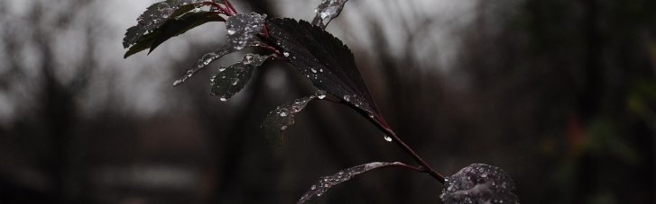 Погода в Україні 25 листопада: хмарно, місцями ожеледиця та дощ зі снігом (КАРТА)