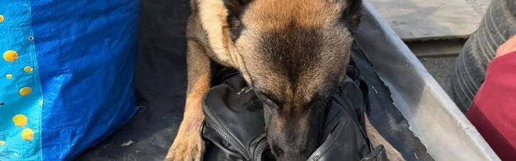 Нацгвардейцы предотвратили ввоз в Харьков более 100 кг опасной взрывчатки (ФОТО)