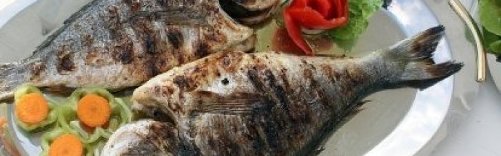 Для мозку, кісток та імунітету: названо 7 найкорисніших видів риби