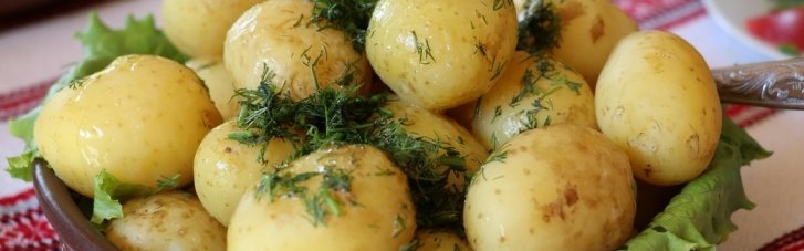 Как лучше готовить картофель, чтобы сохранить питательные свойства: способы и советы