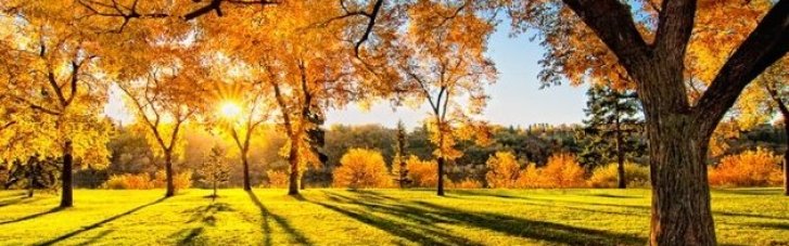 Осінь в Україні була майже на 2 градуси теплішою за норму