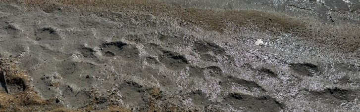 На Одещині у морі виявили велику олійну пляму. Екологи бʼють на сполох