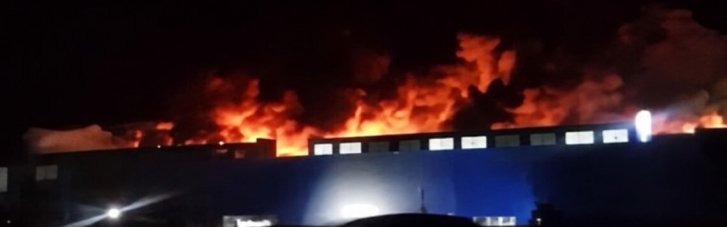 "Яндекс" підсмажує росіян, а півням забороняють битися: чим жив Запорєбрік на тижні