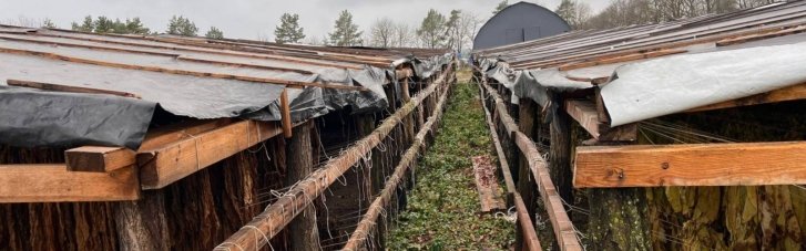 Підпільне виробництво тютюну на понад 25 млн грн: Правоохоронці ліквідували "бізнес", що діяв у трьох регіонах