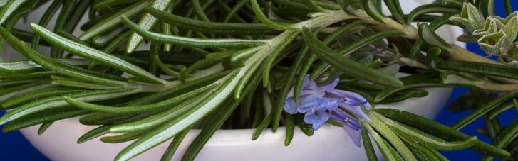 Назван неожиданный продукт, способный улучшить память и концентрацию внимания