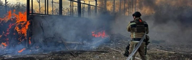 В Семенівці на Чернігівщині РФ вдарила по агрофірмі. Поранена худоба, знищено техніку
