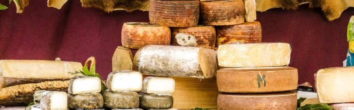 Пармезан чи фета: дієтологи розповіли, який сир корисніший