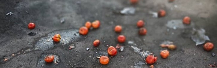 По меньшей мере 10 человек ранены из-за удара по рынку в Сумской области