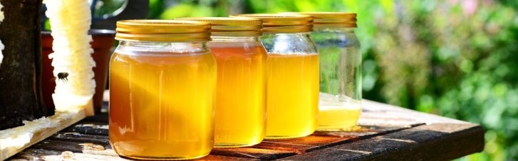 Снижает уровень холестерина и улучшает память: названо 6 полезных свойств меда