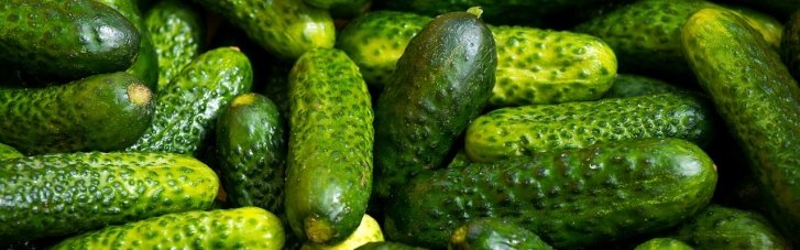 В Украине начали продавать популярные овощи из собственных теплиц в дополнение к импортным: когда ждать снижения цен