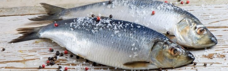 Що корисніше – оселедець чи червона риба? Кому і чому варто потоваришувати з оселедцем