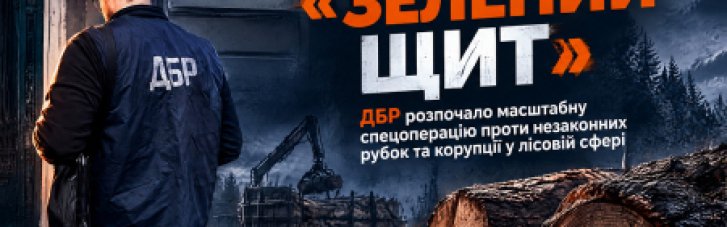 ДБР оголосила старт спецоперації "Зелений щит", спрямованої на виявлення корупції в лісовій галузі та незаконні рубки