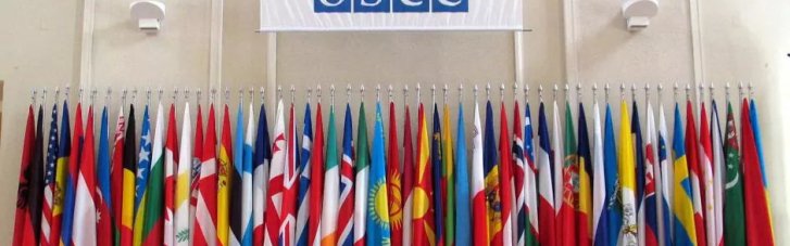 Франция предупредила ОБСЕ о долгосрочной угрозе России