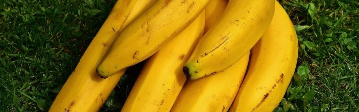 Чому варто їсти банани перед тренуваннями: корисні властивості популярних фруктів
