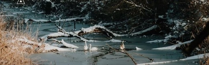 Небезпечна крига: На Київщині чоловік мало не загинув, рятуючи на річці свого собаку
