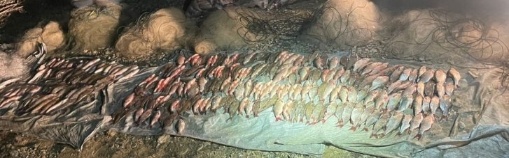На Хмельниччині браконьєр наловив риби на понад 4 млн грн