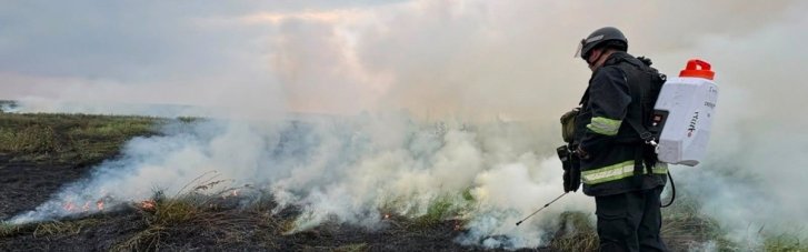 У Слов'янську масштабна пожежа сухостою дісталася житлових будинків