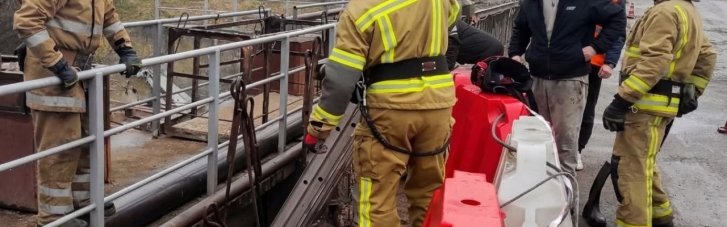 Житомирські рятувальники витягли двох бобрів, що застрягли між шлюзом і дамбою (ФОТО)