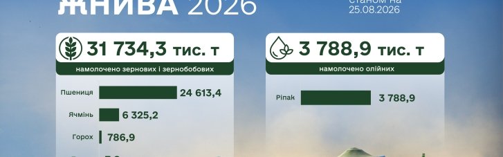 В Украине жатва вышла на финишную прямую: какая урожайность зерна