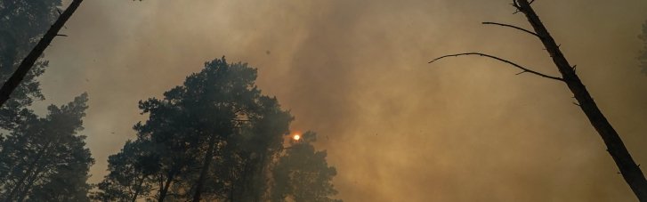 На Черкащині пʼяту добу гасять лісову пожежу (ФОТО)
