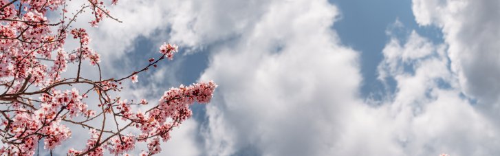 Погода в Украине 29 апреля: небольшой дождь, местами до +14° (КАРТА)