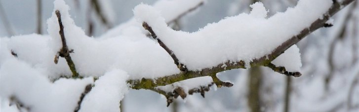 Погода в Украине 27 февраля: переменная облачность, местами туман (КАРТА)