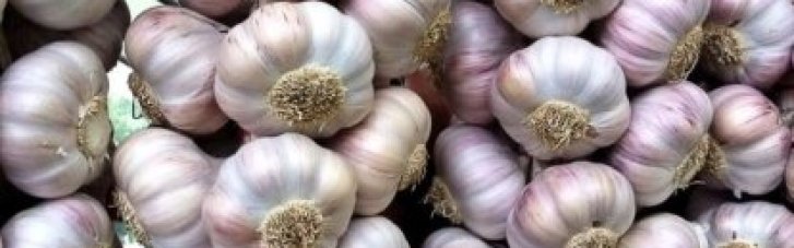 Чеснок: кому и с чем нельзя есть