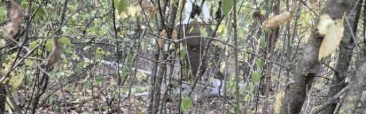 Молдова не увидела залетевшего на ее территорию дрона, что взорвался