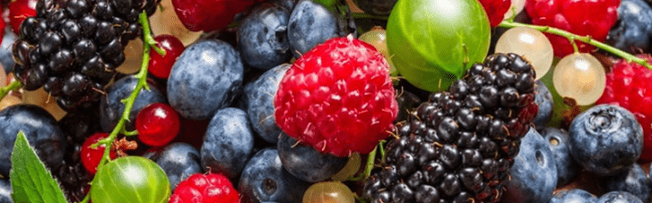 Корисні для мозку: Експерти назвали сім продуктів, які покращують пам’ять та концентрацію