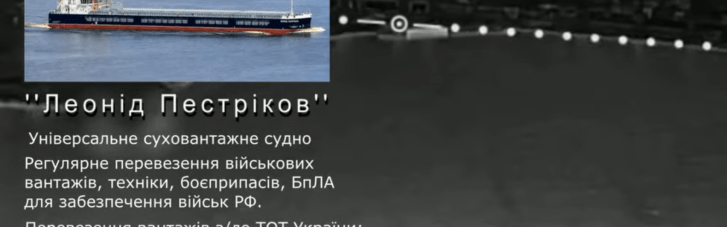 Украинские дроводоводы поразили сухогруз в порту Бердянска
