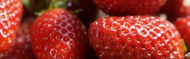В Україні стрімко здешевшала полуниця: як змінилися ціни за тиждень