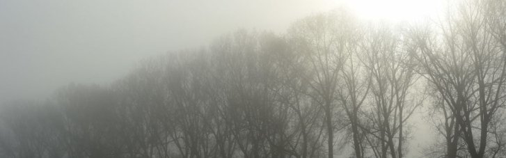 Погода в Україні 16 вересня: без опадів, на заході зранку туман (КАРТА)