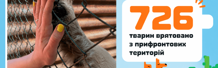 "Купуй – рятуй": нова ініціатива допомогла врятувати 726 тварин із прифронтової зони