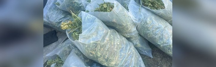 Более 200 кг наркотиков изъяли у группы "дельцов" на Полтавщине (ФОТО)