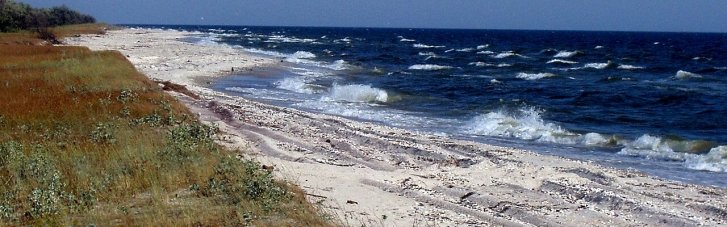 Командир ОТГ "Одесса" рассказал, что россияне попали в ловушку на Кинбурнской косе