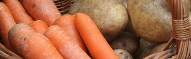 В Украине дорожают морковь и картофель: эксперты рассказали, что будет с ценами дальше