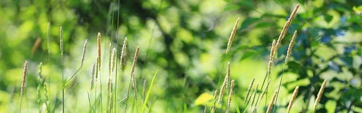 Погода в Україні 26 червня: місцями до 35°, можливі грози (КАРТА)