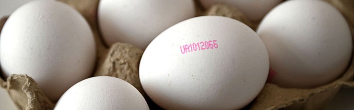 Зарядять енергією на тривалий час: 12 продуктів, з яких варто починати день