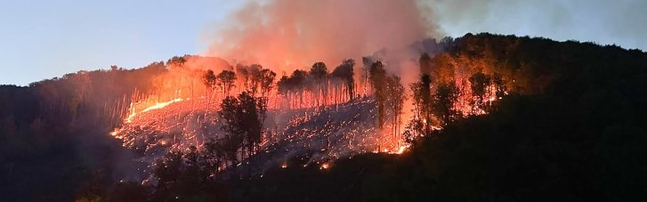 Гасять другий день: на Закарпатті вирує масштабна лісова пожежа (ФОТО)